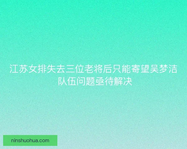 江苏女排失去三位老将后只能寄望吴梦洁 队伍问题亟待解决